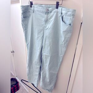 20W Chico's Light Blue Pants